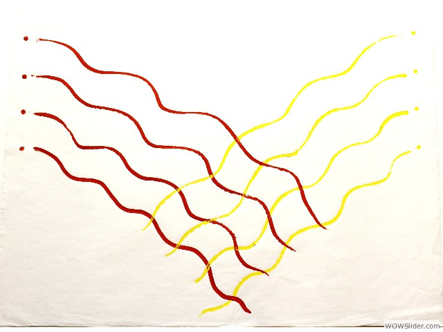 Dharma 2006 (50-70cm)