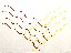 Dharma 2006 (50-70cm)