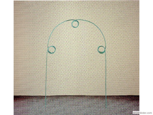 les-racines-sont-les-pieds-1985